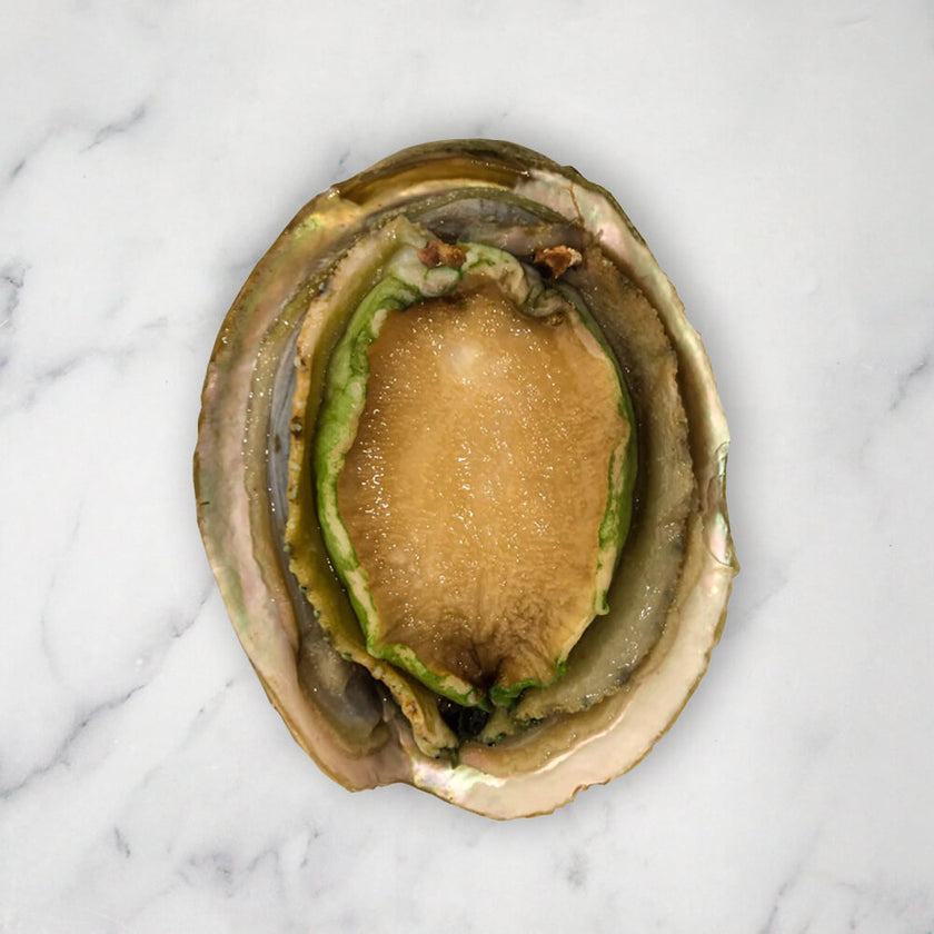 Buy Giant Australian Abalone Online | Fine Food Specialist