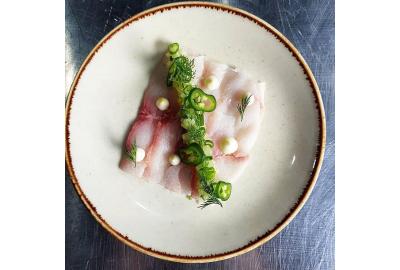 Sashimi Cobia with Salted Cucumber Tartare, Green Chilli, Cucumber and Celeriac