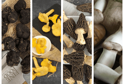 mushroom and truffle seasonality