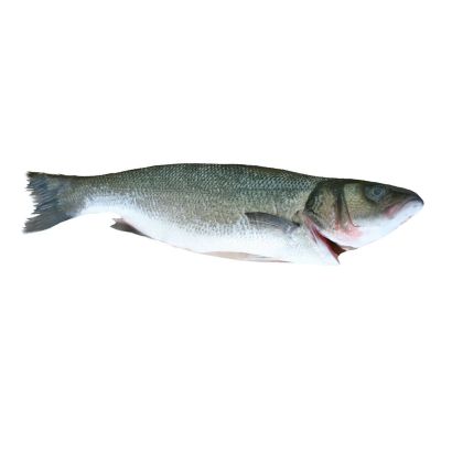 Sea Bass, Fresh, 2-3kg