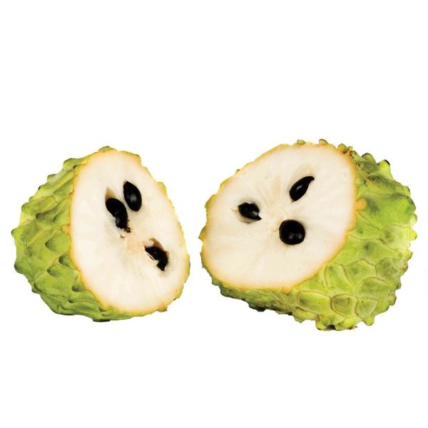 Soursop What Is
