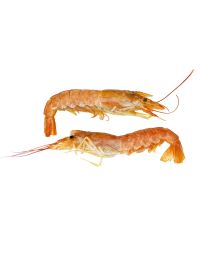 Wild Argentinian Prawns, Frozen Raw, +/-1kg