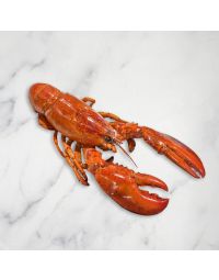 Cooked Lobster, Frozen, +/-400g