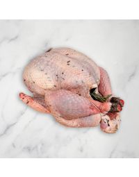 Free Range Bronze Turkey