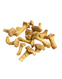 Girolle Mushrooms, Frozen, 1kg