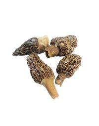 Buy Frozen Morels Online in London UK