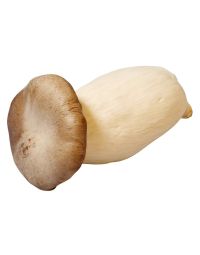 Buy King Oyster Mushrooms Online & in London UK