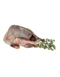 Buy Brace Of Oven Ready, Wild Grouse Online