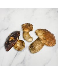 Italian Porcini Mushrooms