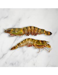 Jumbo Tiger Prawns