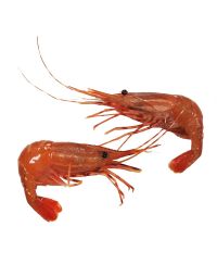 Botan Ebi Wild Spot Prawns, Sashimi, Frozen, 500g