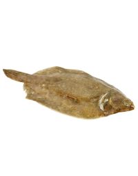 Buy Lemon Sole Online & in London UK