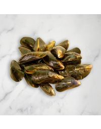 Live Mussels