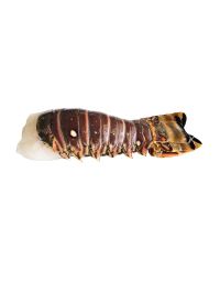 Rock Lobster Tail, Frozen, +/-220g