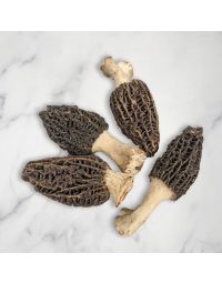 Morel Mushrooms