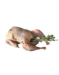 Red Leg Partridge, Oven-Ready, Fresh x 2