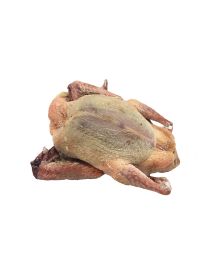 Squab Pigeon Royal, Fresh, +/-500g