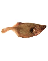 Wild Plaice, 2 x +/- 450-650g