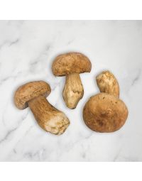 Porcini Mushrooms