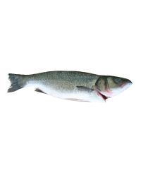 Sea Bass, Fresh, 2-3kg