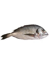 Sea Bream, Fresh, 2 x 6-800g