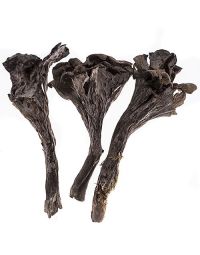 Trompette de la Mort, Dried