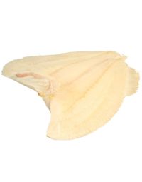 Buy Turbot Fillets Online & in London UK