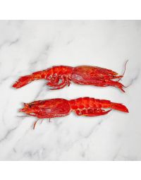 Wild Carabineros Prawns, XXL