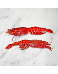 Wild Carabineros Prawns