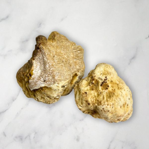 Buy Fresh White Alba Truffles UK - Fine Food Specialist