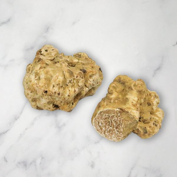 Buy Fresh White Alba Truffles UK - Fine Food Specialist