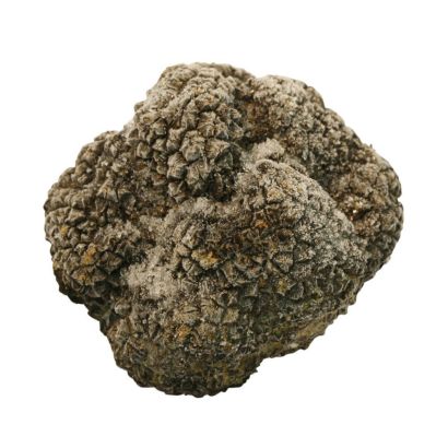 Buy frozen truffles online and in London UK