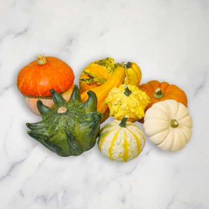 Ornamental Mixed Squash/Pumpkin