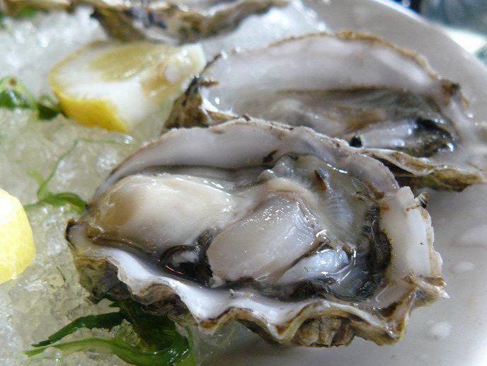 Cornish Oysters