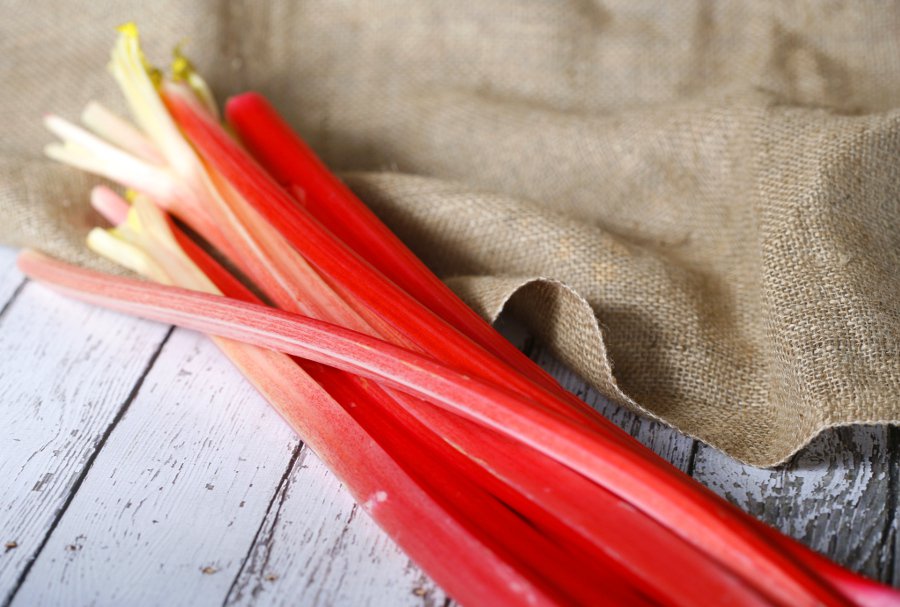 Forced Rhubarb