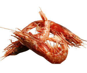 Gambero Rosa Prawn