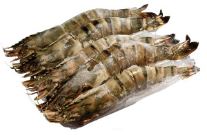 Giant Tiger Prawns