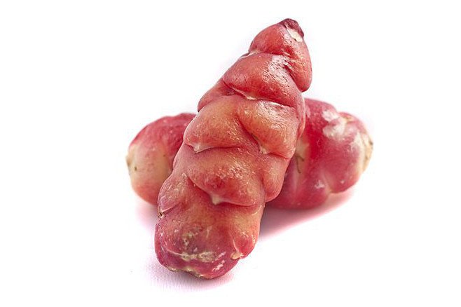 Oca Tuber