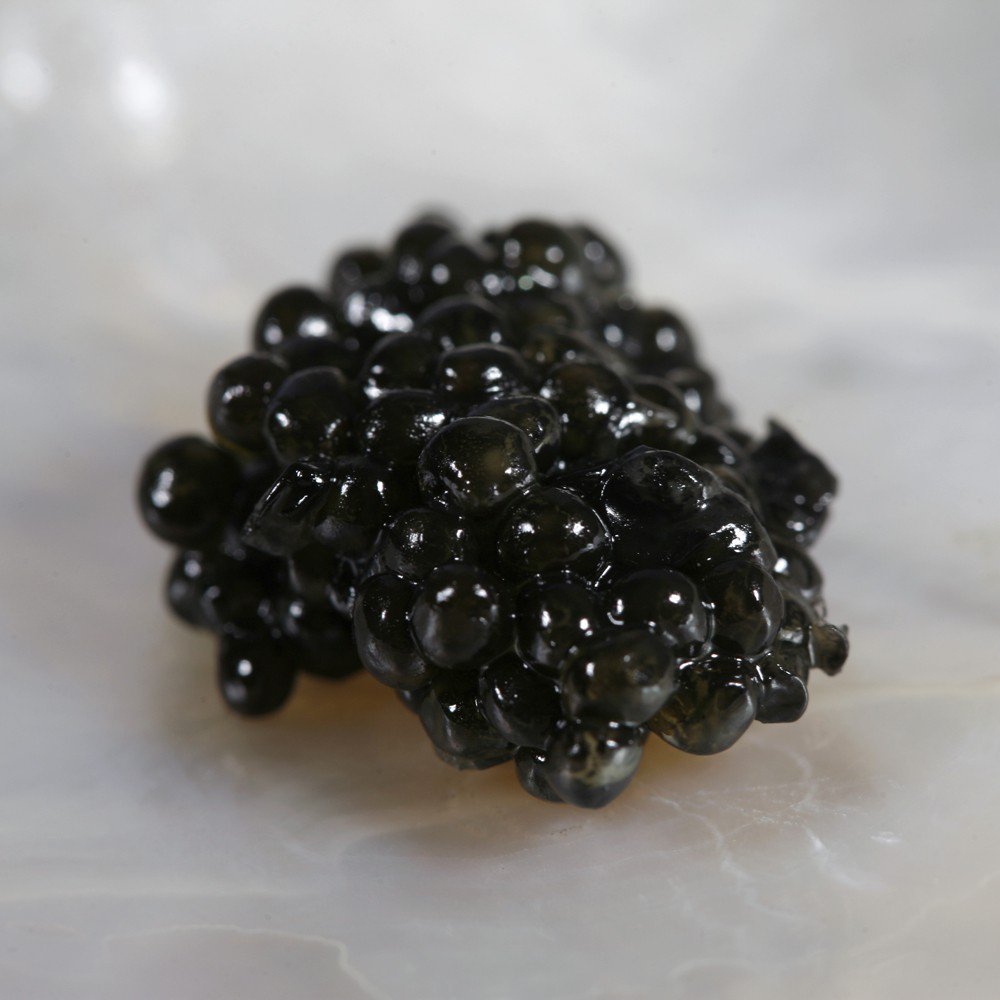 Oscietra Caviar