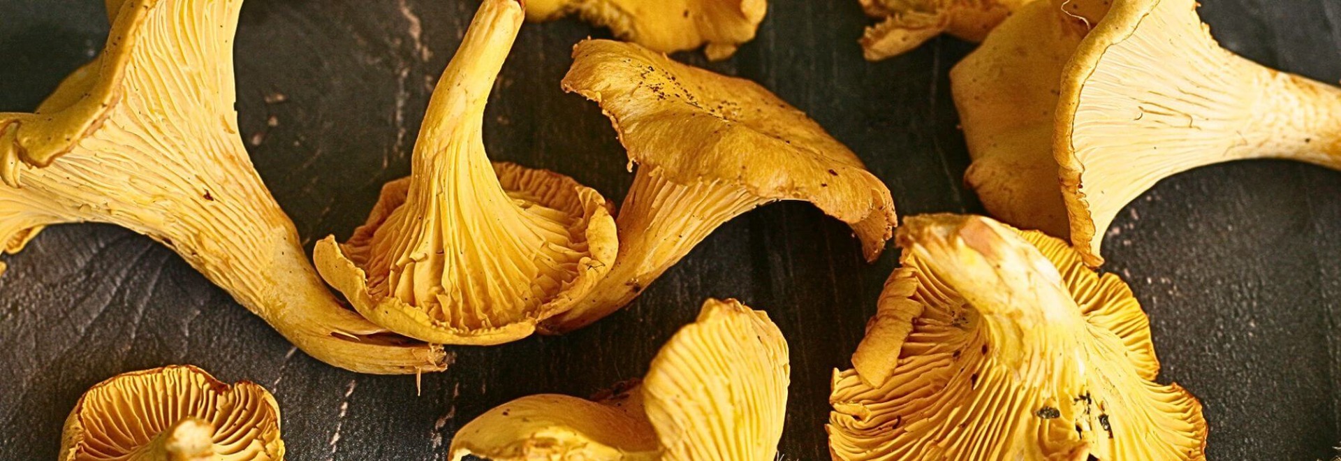 Girolle Mushrooms