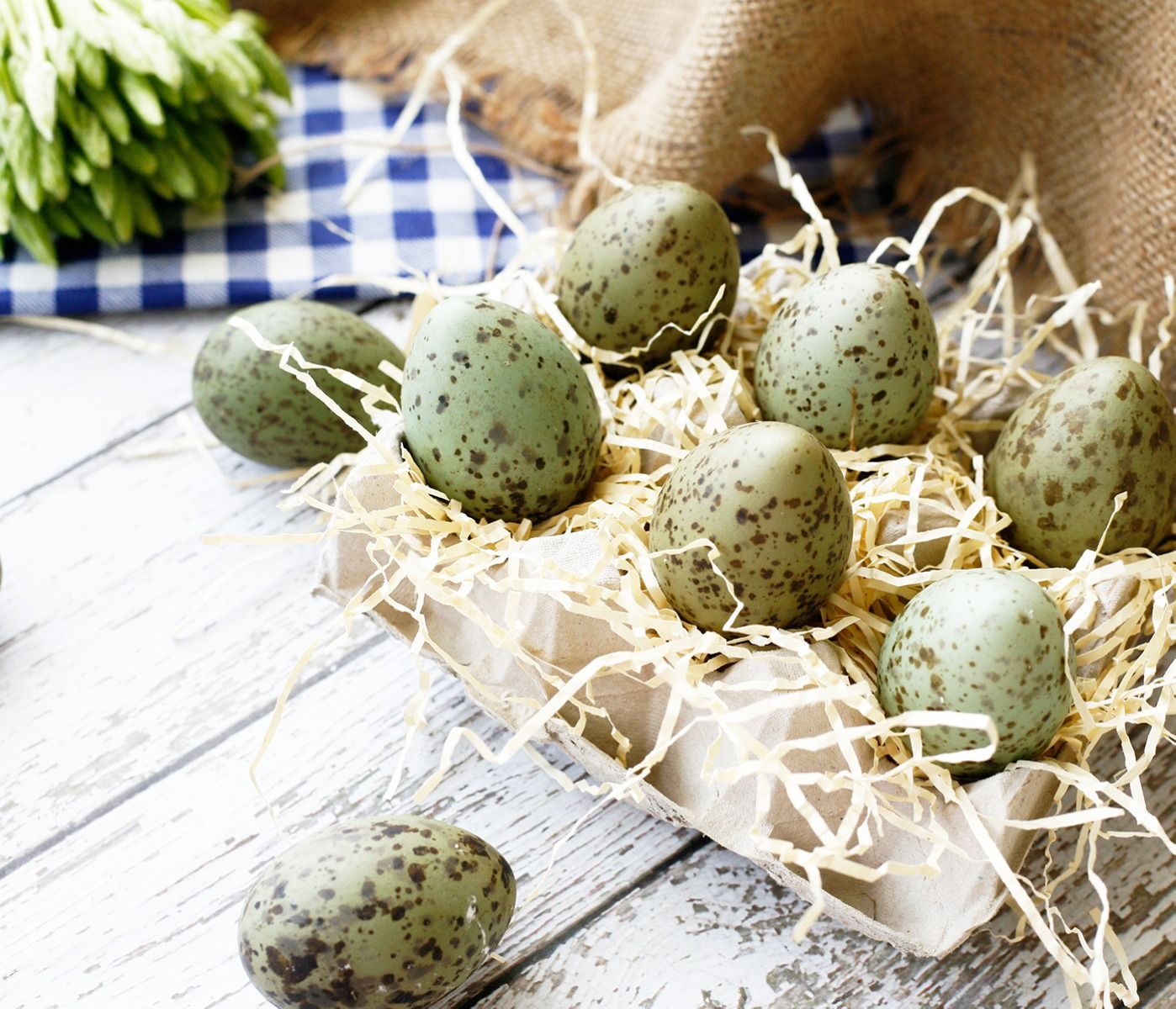 Gull Eggs