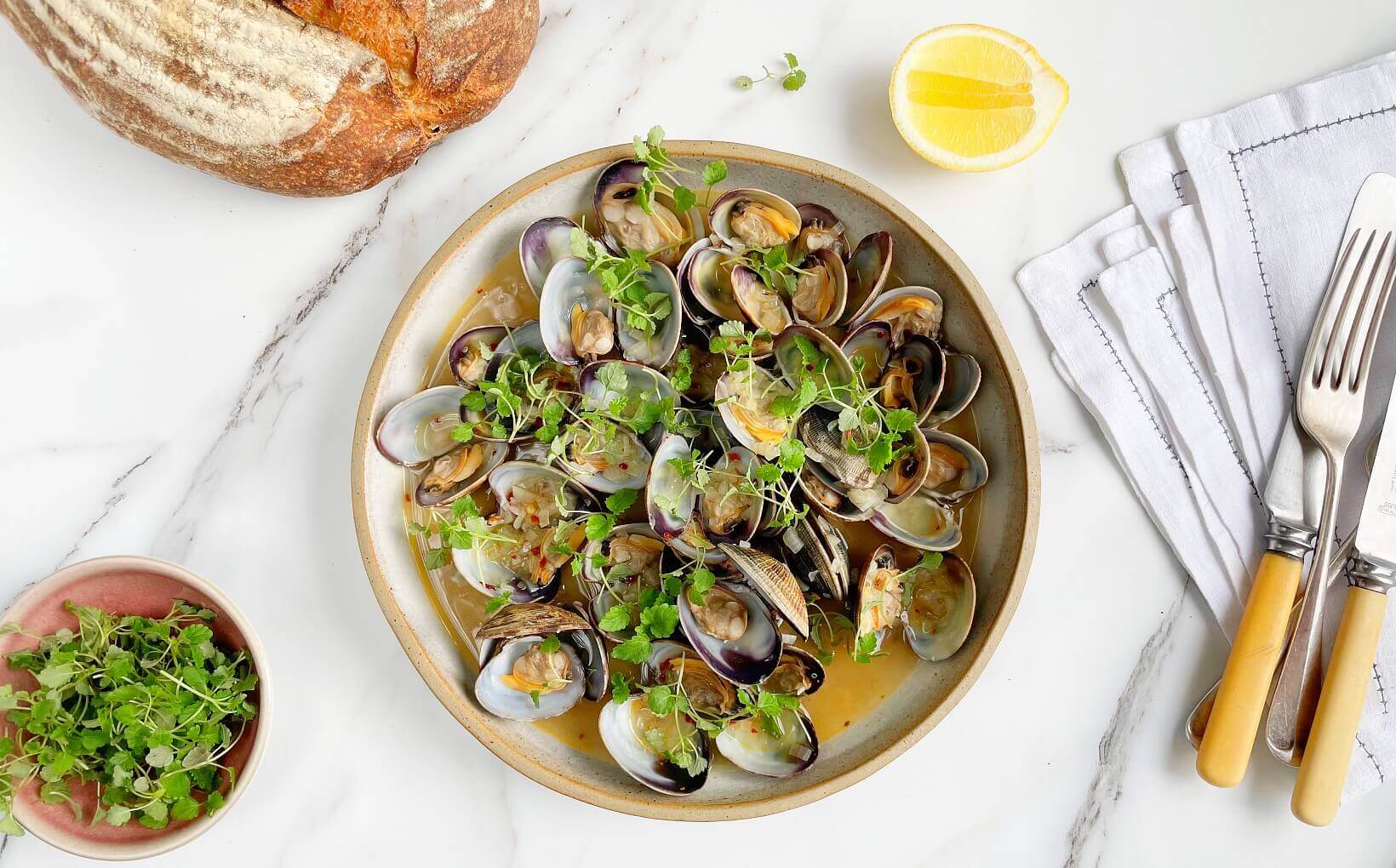 Palourde Clams & White Wine & Lemon Balm