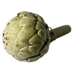 Globe Artichoke