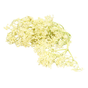 elderflower