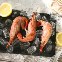 Jumbo Wild Spot Prawns