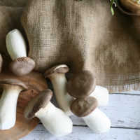 King Oyster Mushrooms